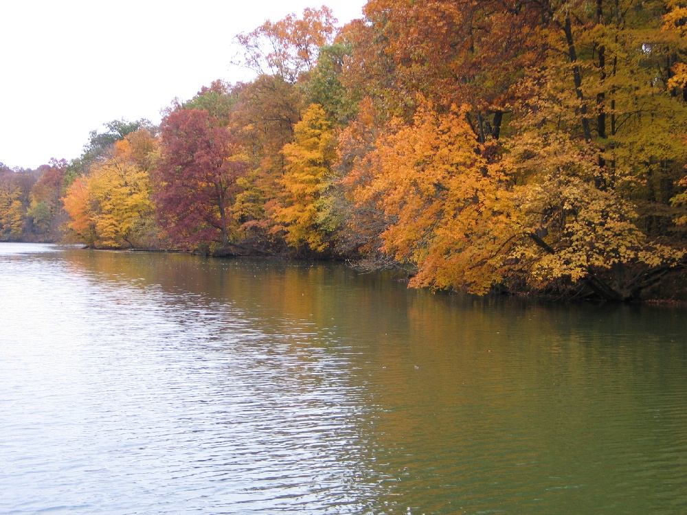 walnut point near Villa Grove
