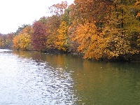 Walnut Point State Park