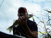 South Branch Fishing Report