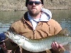 fishville