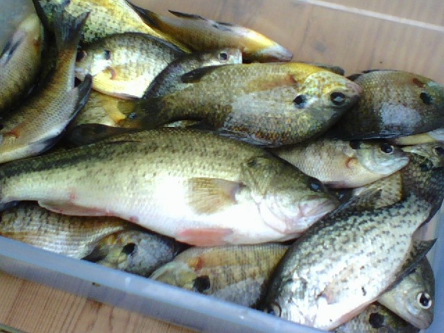 Just fun near Kewanee