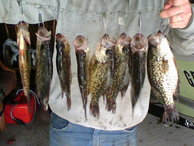 Toulon fishing photo 5
