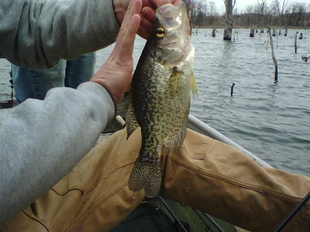Toulon fishing photo 3
