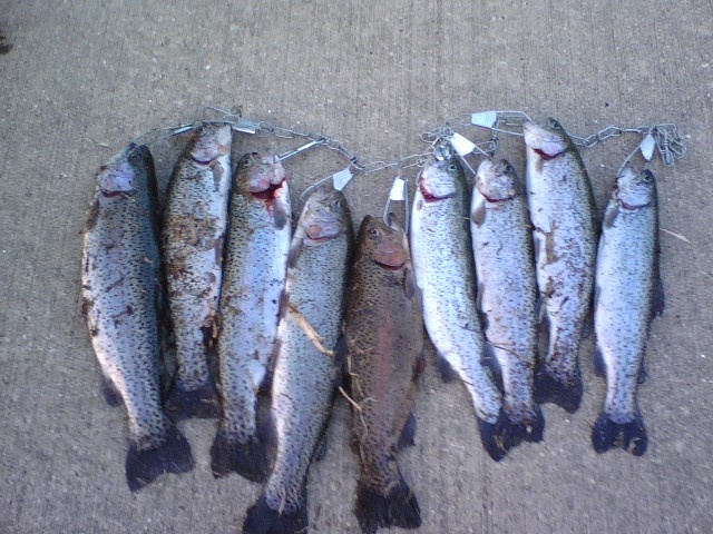 Bureau Junction fishing photo 3