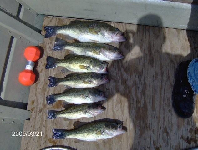 Viola fishing photo 1