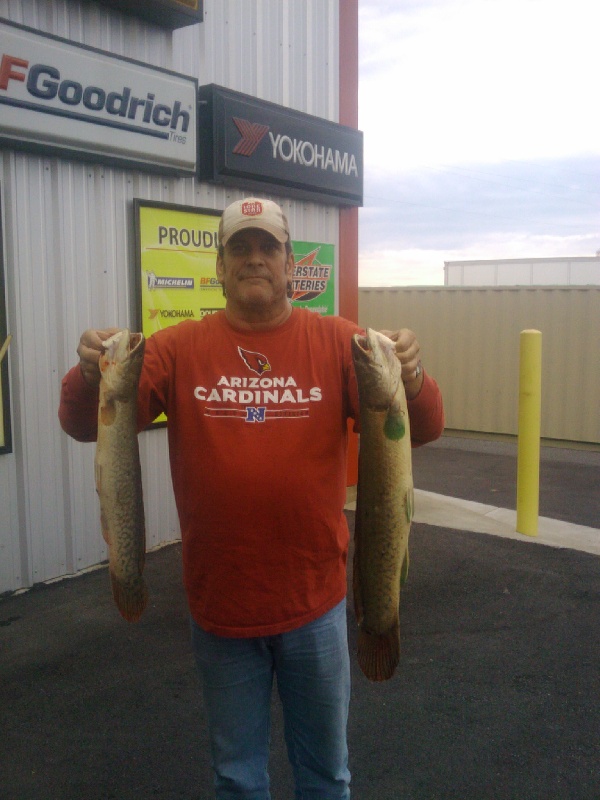 Bowfin in Ky near Brookport