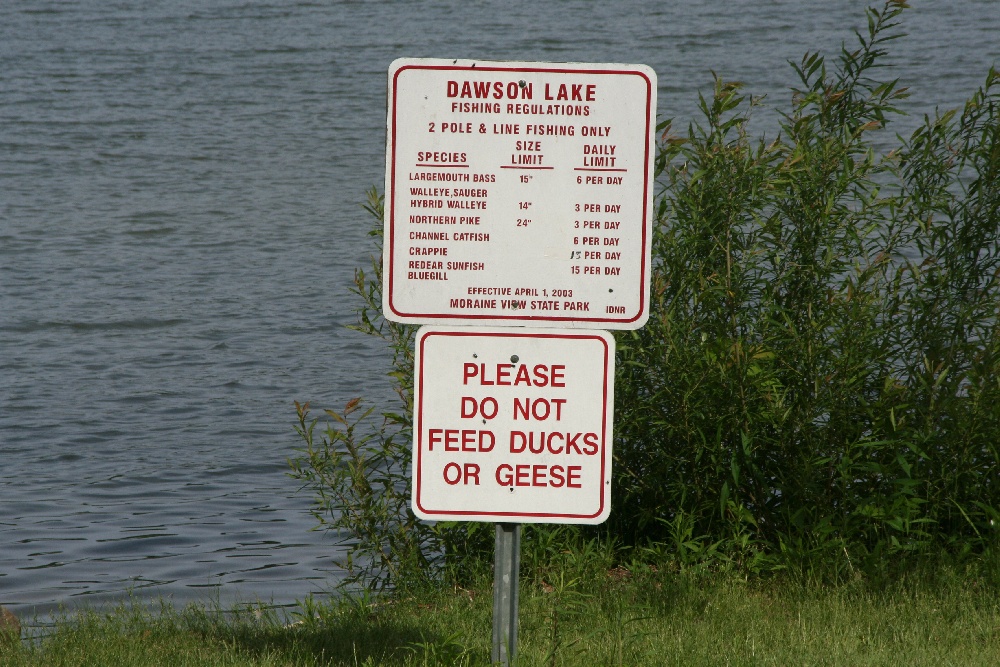 Arrowsmith fishing photo 0