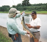 Big Muddy River