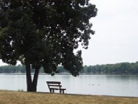 Lake Taylorville