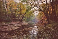Mackinaw River